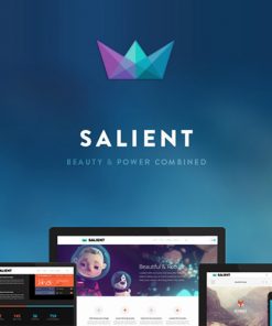 Salient – Responsive Multi-Purpose Theme